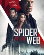 Паук в паутине / Старые шпионские игры   (, 2019)